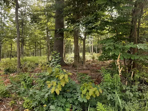 lot3 Ohio St, Glenburn, ME 04401