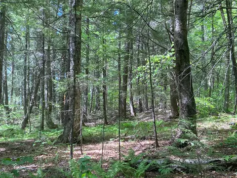 tbd Baker Rd, Albany Twp, ME 04217