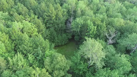 M19l40 Abbott Drive, Enfield, ME 04493