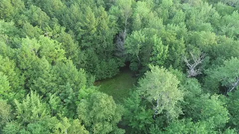 M19l40 Abbott Drive, Enfield, ME 04493