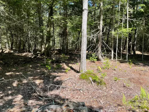 Txmp3 P12 Lincolnville Road, Belmont, ME 04952