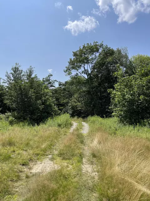 87 Main St, Cherryfield, ME 04622 photo 1