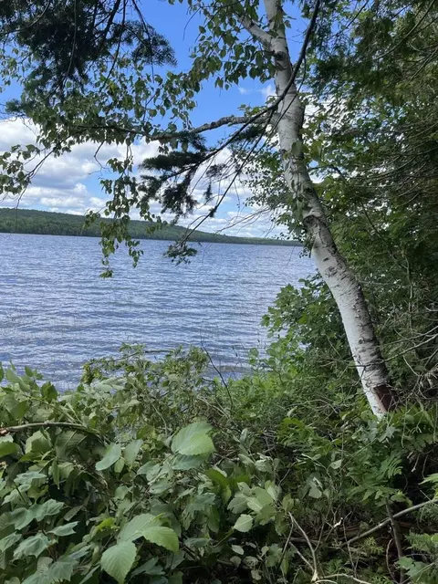 lot40 Woodland Ridge Rd, Danforth, ME 04424