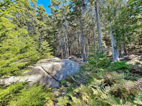91 S Burnt Cove Rd # A, Stonington, ME 04681