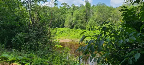 315 Marsh Rd, Frankfort, ME 04438