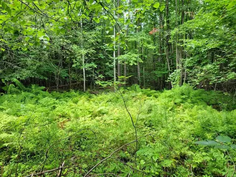 lot017 B Iisalo Rd, Temple, ME 04984