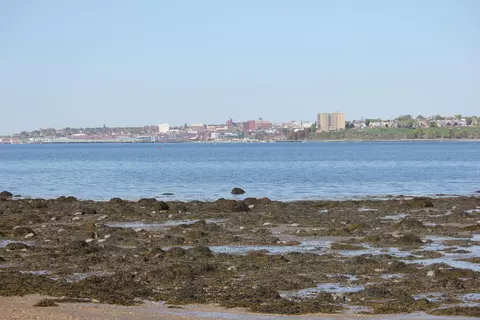 0 Bay Ave, Portland, ME 04109