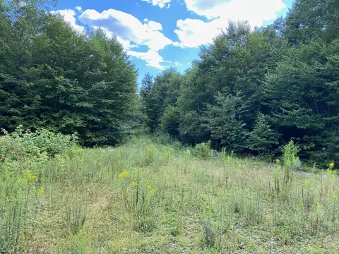 lot Wa1 Partridge Knl, Cathance Twp, ME 04628