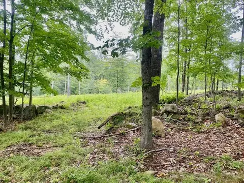 8 Ac Mudgett Rd, Parsonsfield, ME 04047