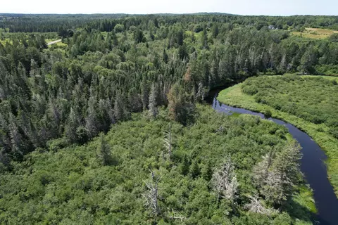 lot9 Wilcox Rd, Trescott Twp, ME 04652