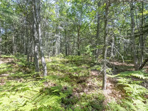 82 Sweet Fern Rd, Bar Harbor, ME 04609