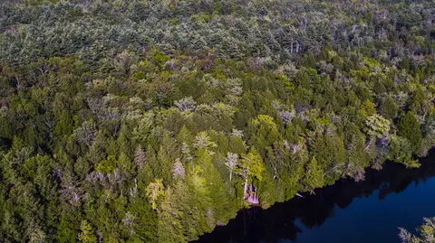 lot25 1 Map 9 Gale Rd, Palmyra, ME 04965