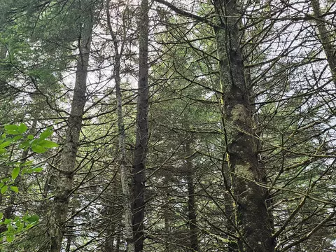 M2 L48 Us 2 Route, Crystal, ME 04747