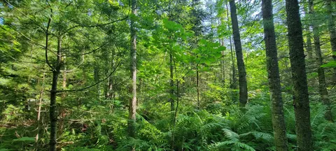 18 Backmeadow Rd, Waldoboro, ME 04572
