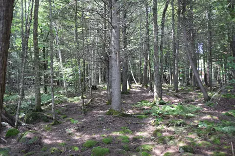 1 Loon Road, Embden, ME 04958