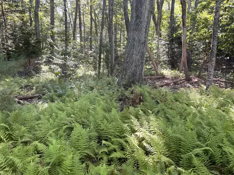 38 State Route 32 # E, Bristol, ME 04564