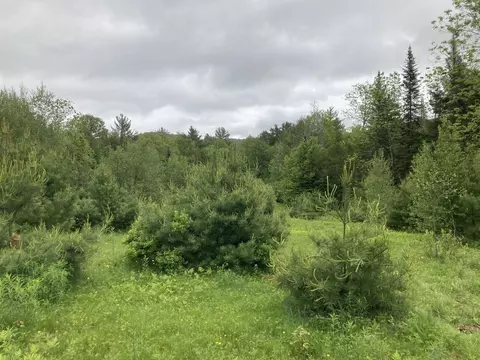 lot15 B Main St, Dixfield, ME 04224