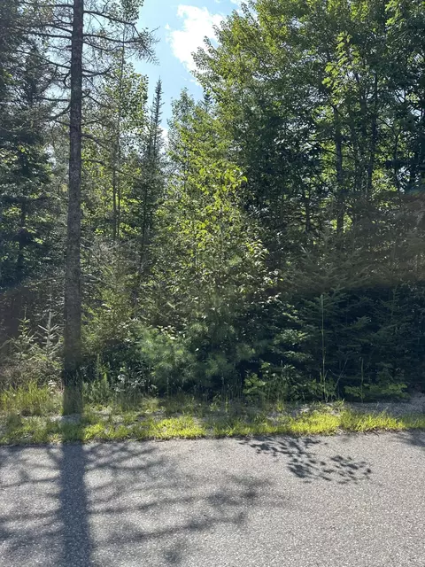 0 Elm St, Cherryfield, ME 04622