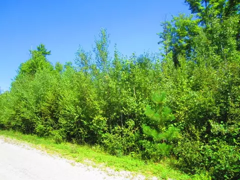 lot12 Deer View Rd, Bethel, ME 04217