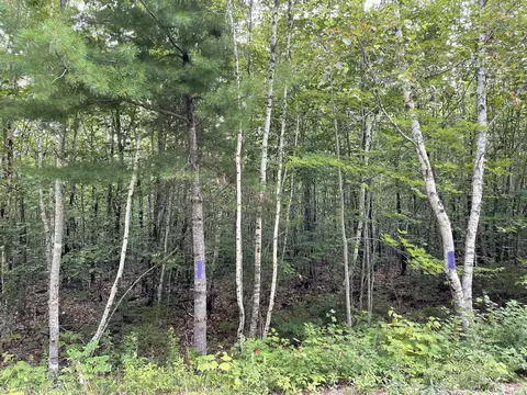 lot14 Eleanor Mae Rd, Deblois, ME 04622