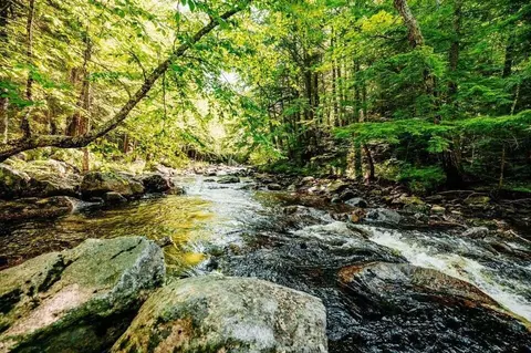 1 Weld Road # a, Perkins Twp, ME 04294