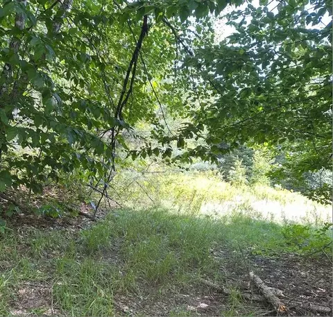 0 Nate Richards Rd, Saint Albans, ME 04971