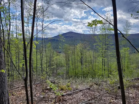 lot11 Swift River Route 17 Rd, Byron, ME 04257
