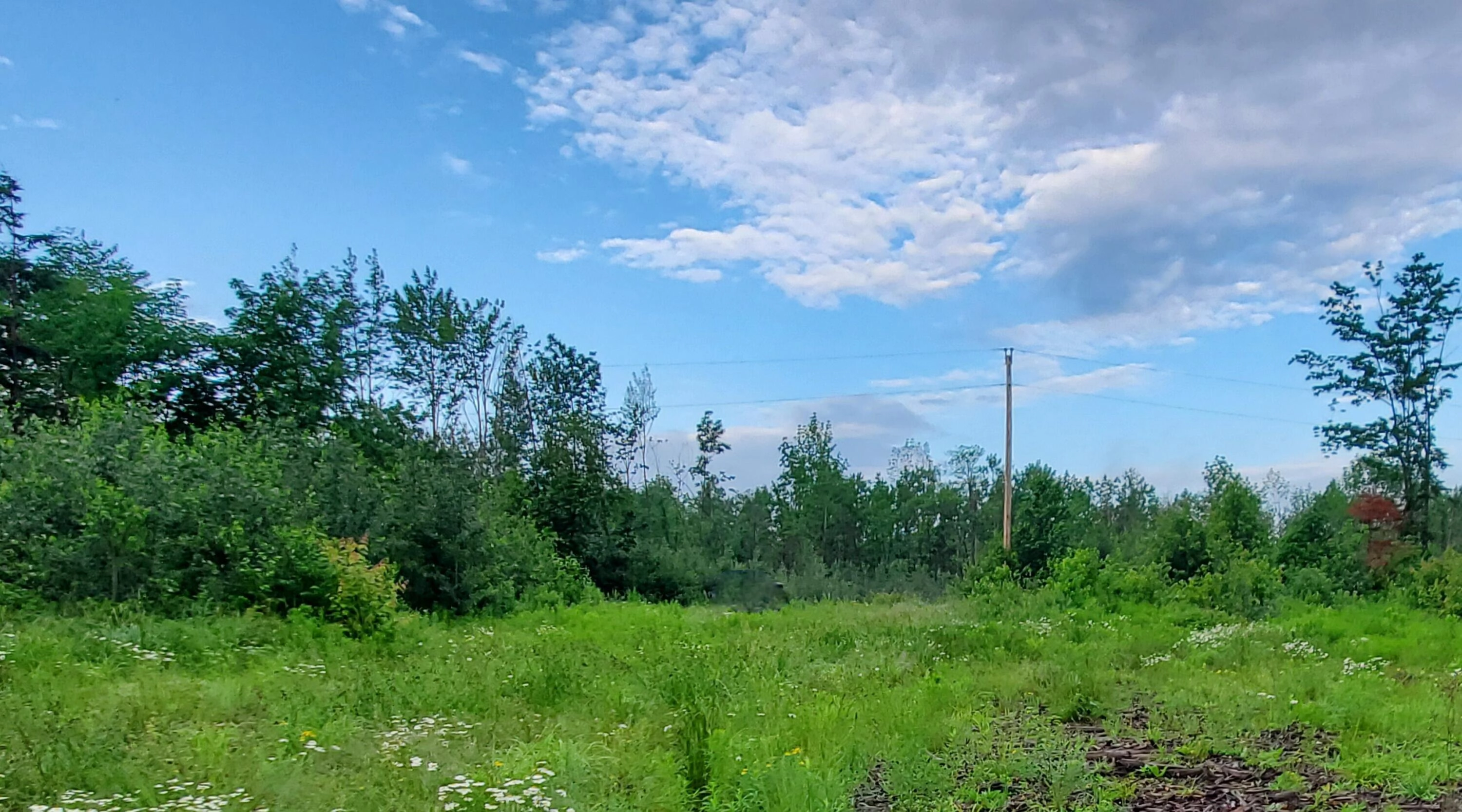 6 South Hemore Rd Unit l