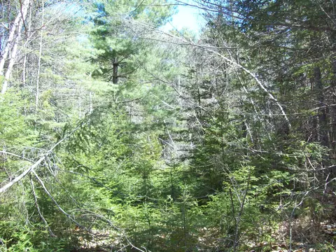 tbd Off Mallets Mill Rd, Lee, ME 04455