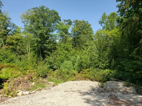 21 Garrison Woods Dr, Gray, ME 04039