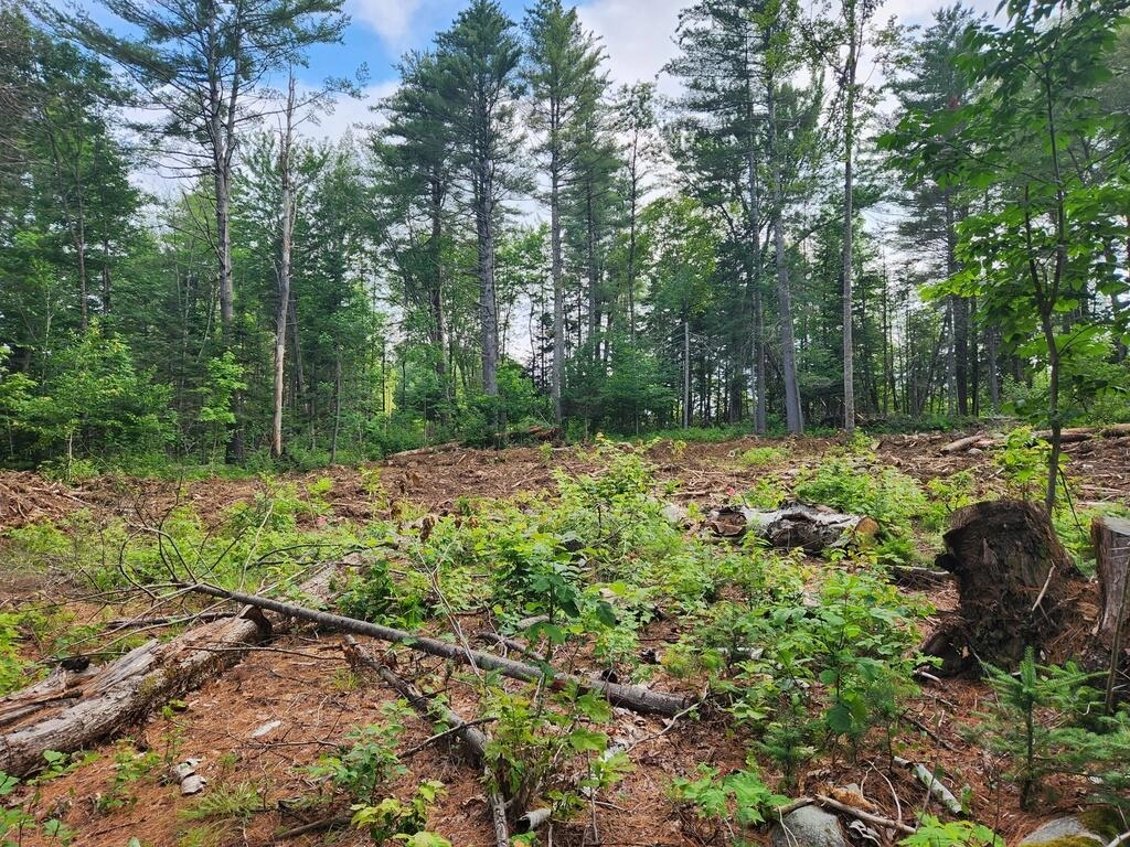 Lot 1820 Carrabassett Rd  