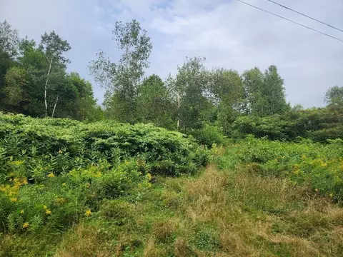 00 Pleasant River Rd, Milo, ME 04463