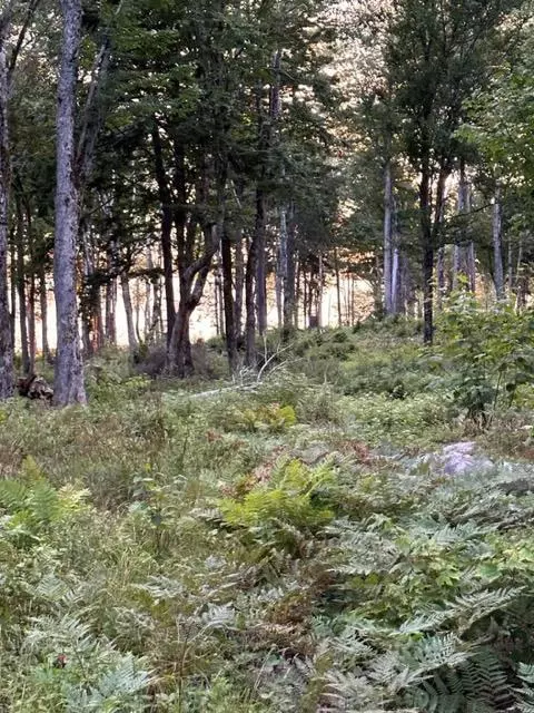 234 Estates Rd, Steuben, ME 04680