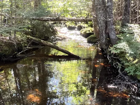 lot12 Homestead Dr, Lakeville, ME 04487