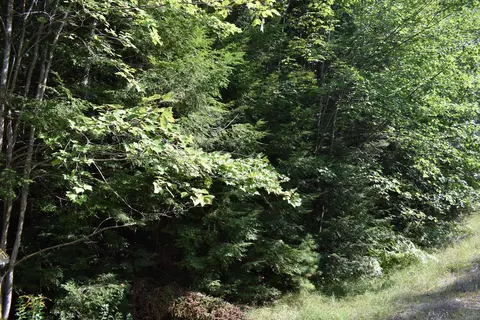 68 Woodville Rd, Chester, ME 04457