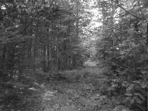 755 N Dexter Rd, Parkman, ME 04443