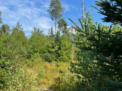 Lot 9 Kingwood Road, T7 Sd, ME 04627