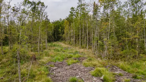 tbd Mount Rd, Burnham, ME 04922