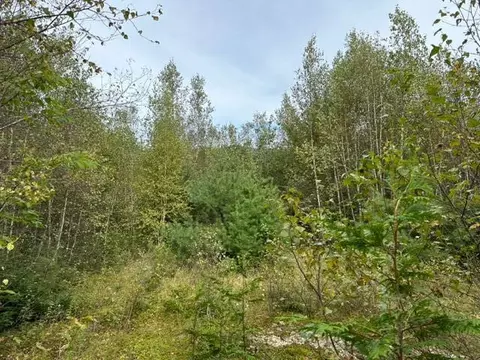 8 15121 Circle Dr, Salem Twp, ME 04983