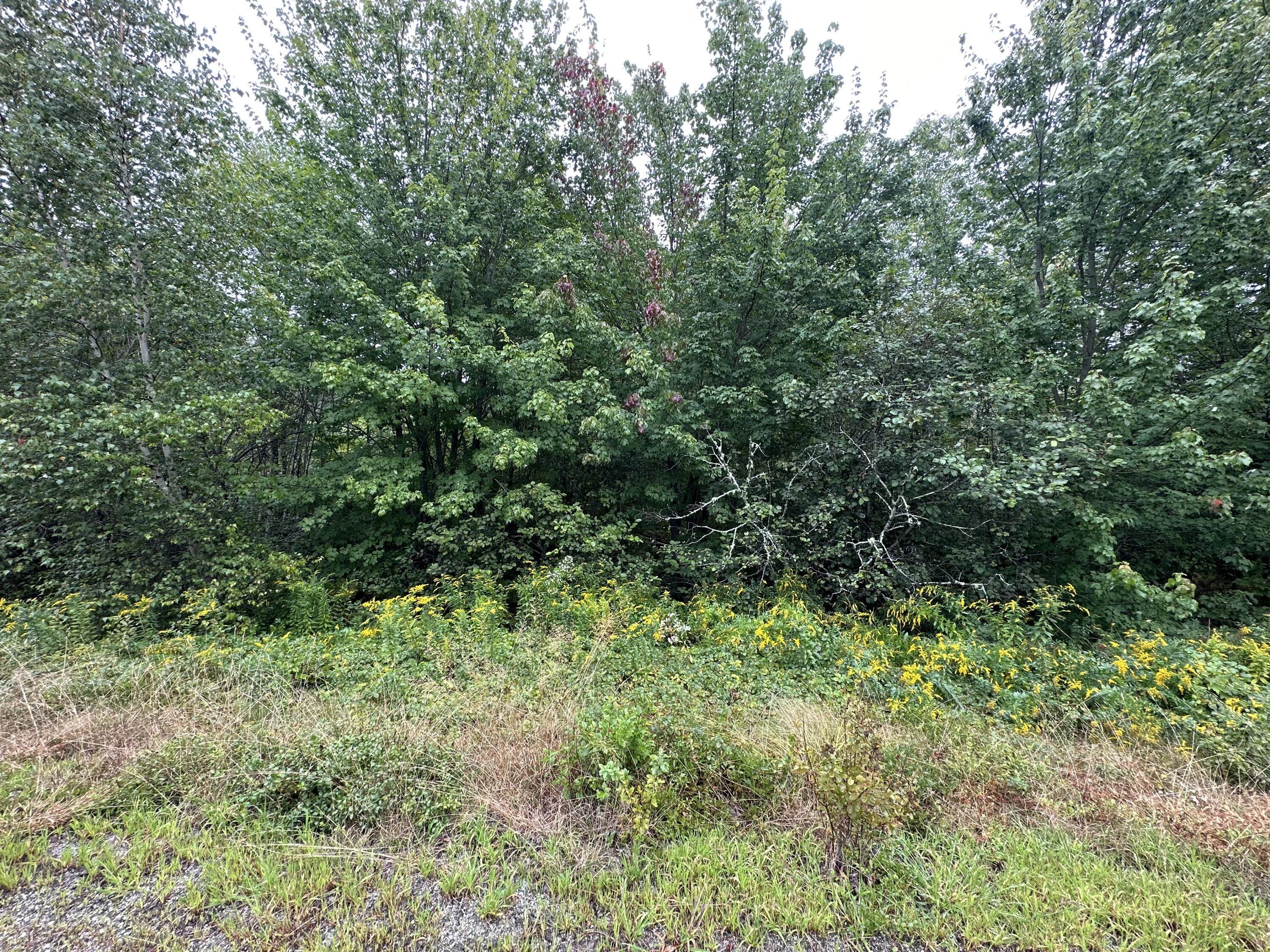 4 ADDIE RD  