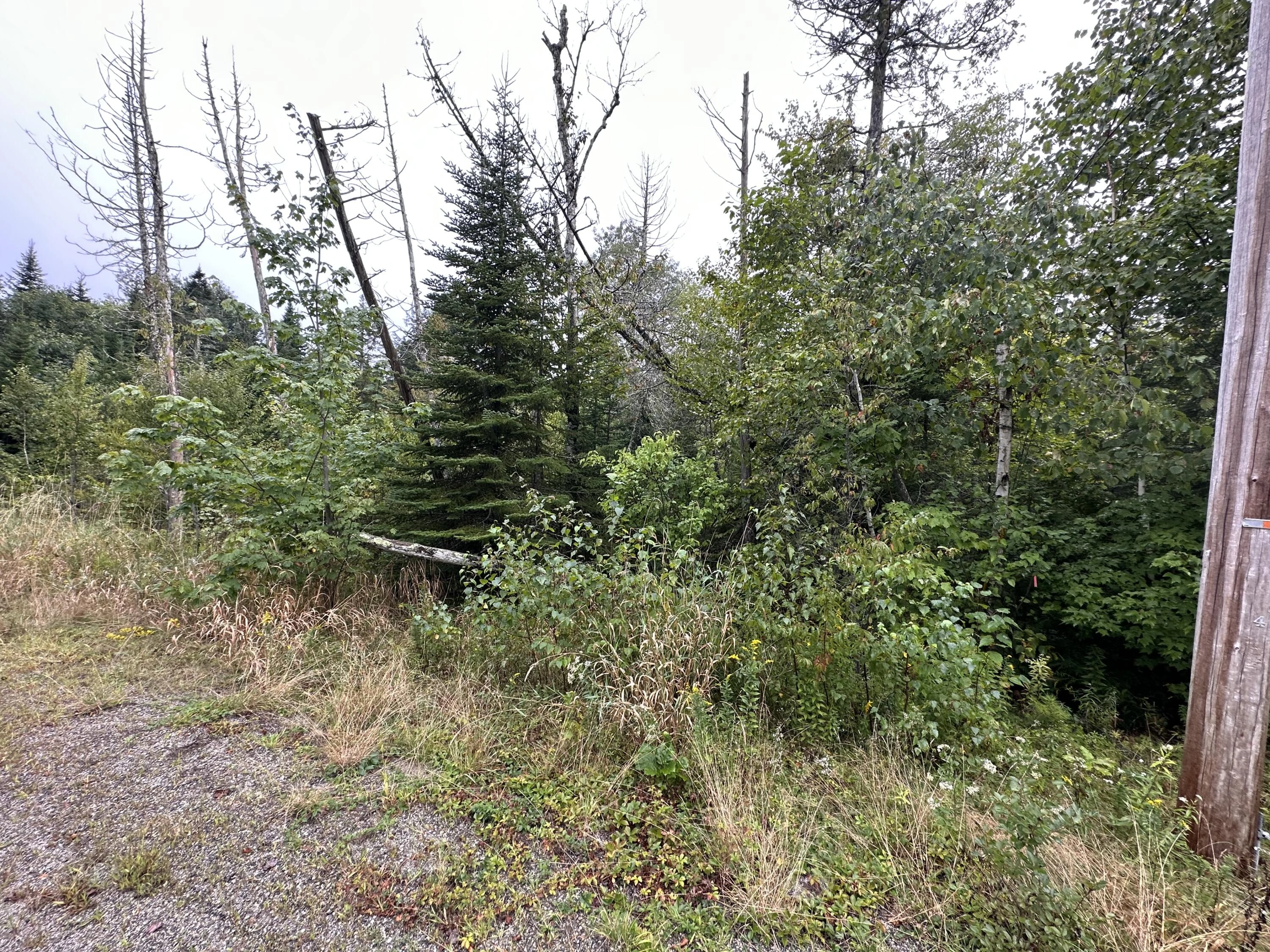 33 ADDIE RD  