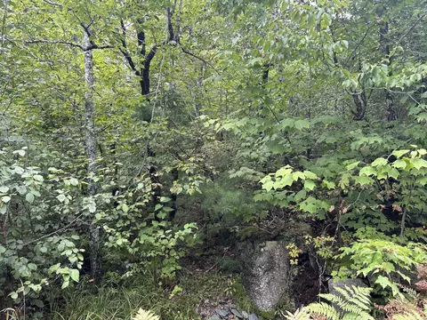 lot16 Winkumpaugh Rd, Ellsworth, ME 04605