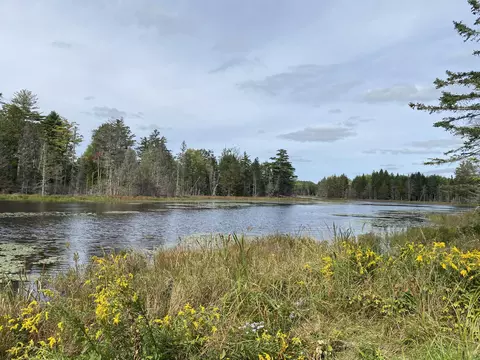 00 Route 1, Gouldsboro, ME 04607