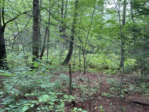 lot7 County Rd, Livermore Falls, ME 04254