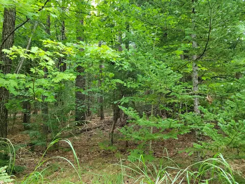 20 Smith Rd # B, Denmark, ME 04022