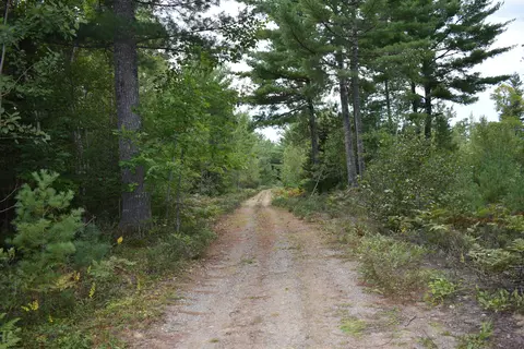 lot1 Stevens Brook Ln, Greenbush, ME 04418