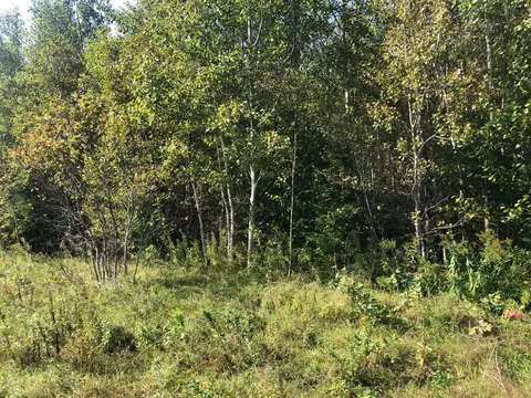 20 2 Island Falls Rd, Sherman, ME 04776