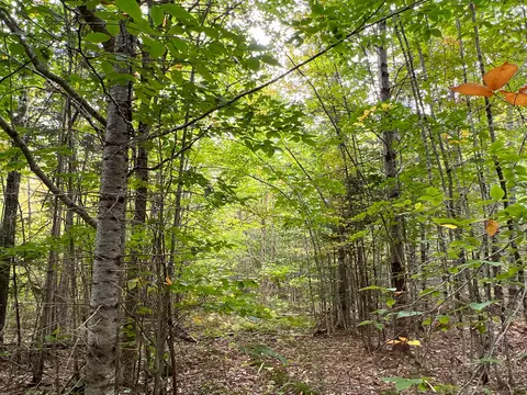 00 Monument Rd, Amity, ME 04471