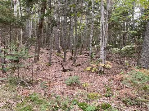 101 Riverview Rd # -E, Bristol, ME 04539
