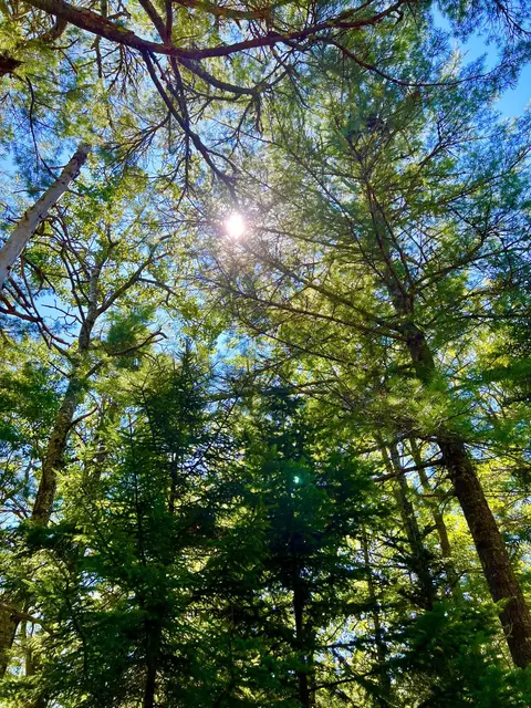 188 Parker Farm Rd, Mount Desert, ME 04660